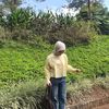 Destiana Pratiwi