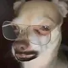 shadede3