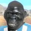 lucovisk7