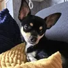 jackisboss23