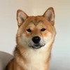 fluffykylo