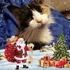 joannemcauliffe5