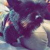 catlovergirl16