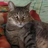 jennymansilla74