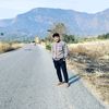 phealanser