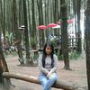 apriliaarifin5