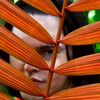 plantgayforlife