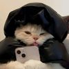 ferr_affiliate