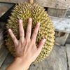 remahan_rengginang026