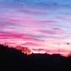 stefyfrancyleo1