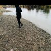 fliik04