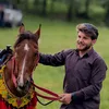 saman_ghareb