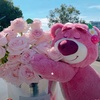 bearylove88