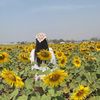 poppy_2903