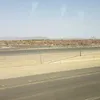 diptaaaarp