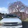 mrslna_555