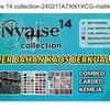 nyalsecollection