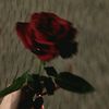 aya.elsayed37
