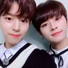 bangsunris3