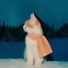 lolitalover