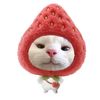 pinkeucsttell_