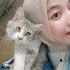nissamln4