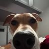 lauren.jones27