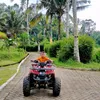 faizalfiy