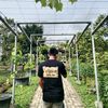omcilik_92