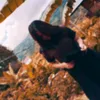 jywnn12