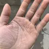 baobiu37