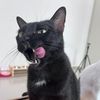pinkpaws21