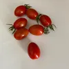 tomato459