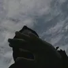 dwiaprr6