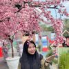 yy_ani