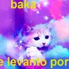 wntdiie