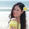 ndl_951