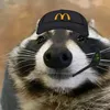 robertinkkj