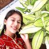 mhwe_lay