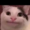 nukhunn