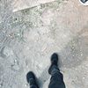 121zaaaa