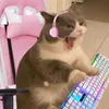 mikoco1