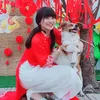tuyen237237