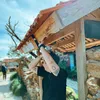 minliu58