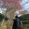 lmh19121998