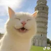 nbthuy15