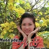 user14182555
