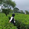 ifa_nisa