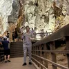 hoangdao091