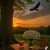 nadir_seccad_cesur